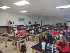 IMG_20220512_084619476